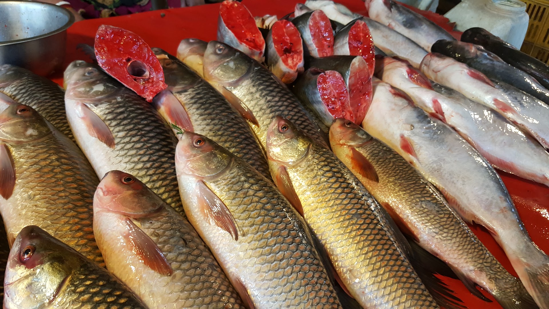 the fish shop