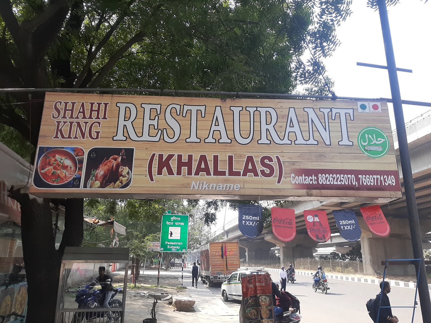 Shahi king