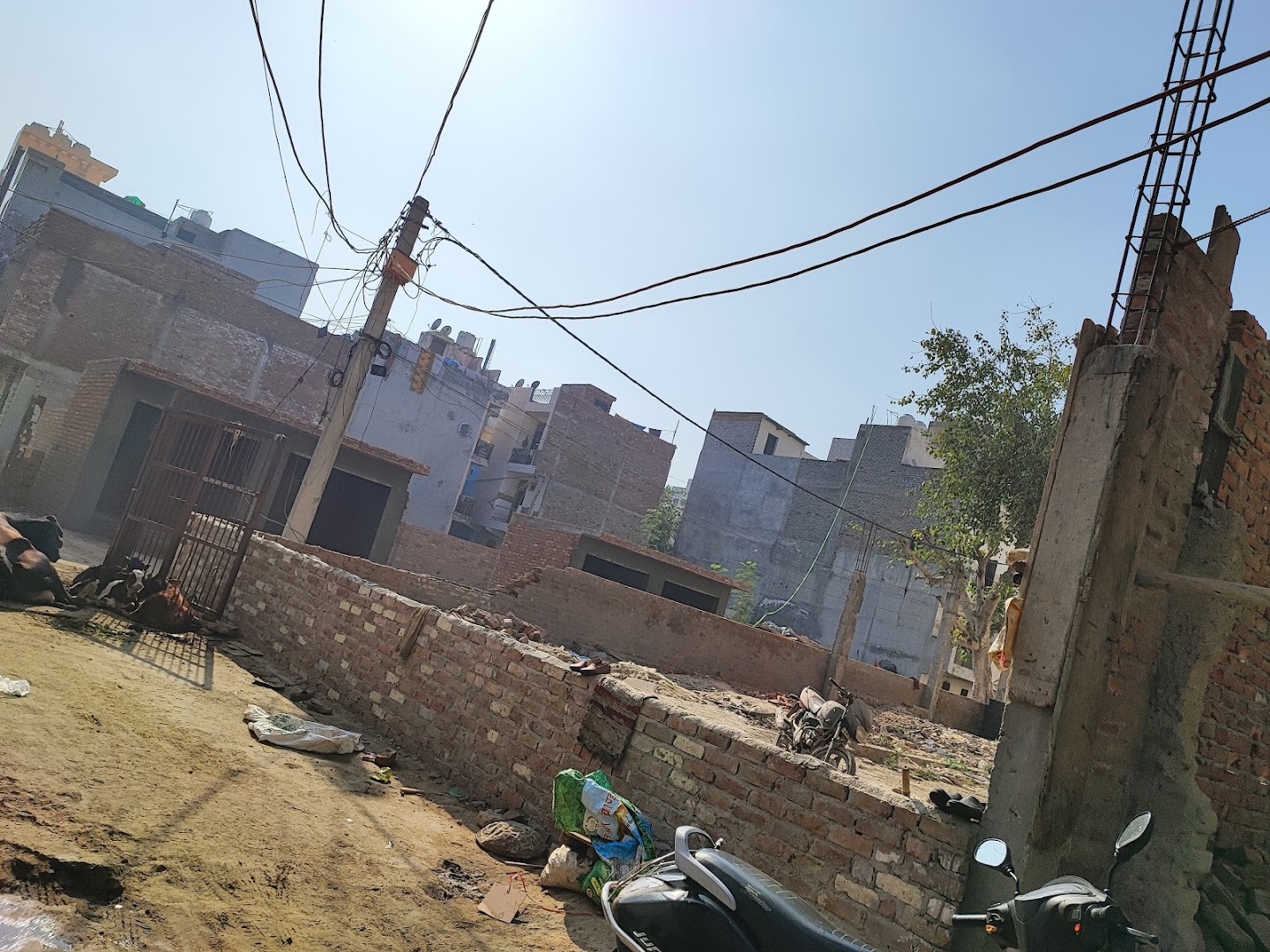nihal vihar